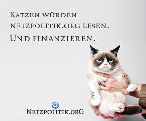 katzen_netzpolitik